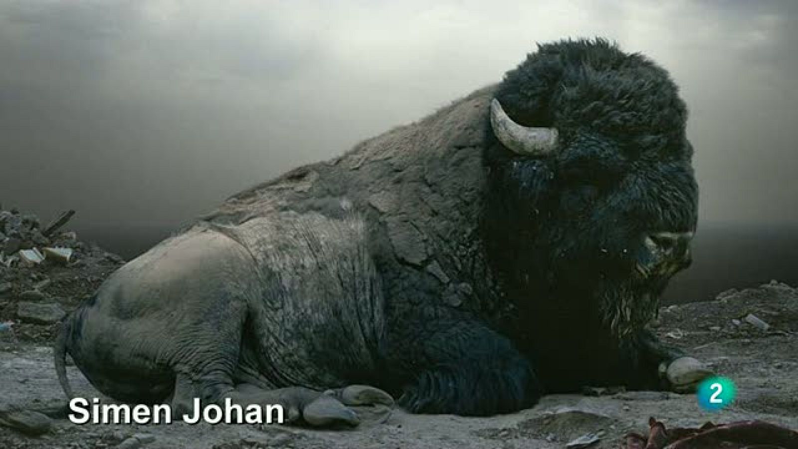 La Aventura del Saber. Tendencias fotográficas