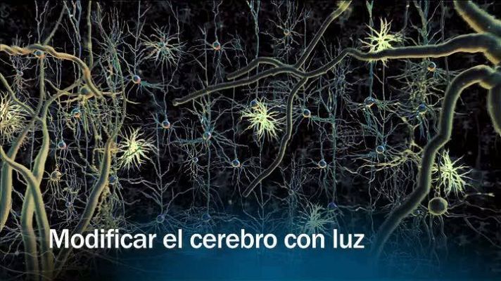 Modificar el cerebro con luz