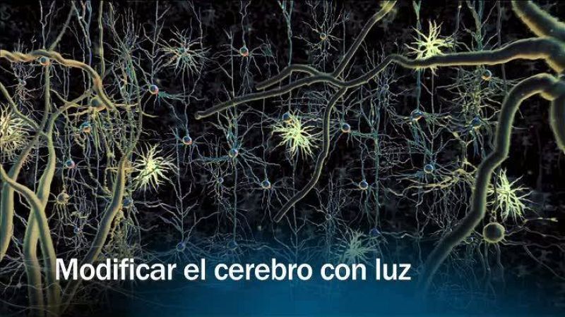  Redes - Modificar el cerebro con luz - presentación