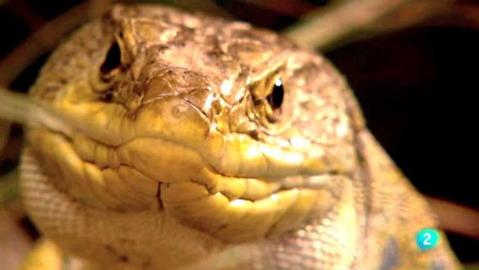 Biodiario - 04/05/12 - Ver ahora