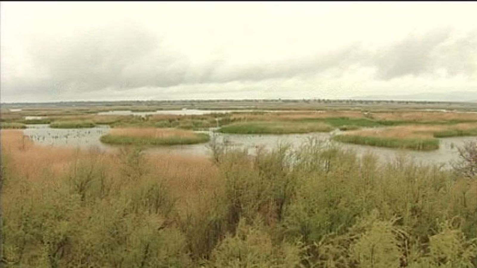 Los ecologistas se enfrentan al gobierno por las aguas de las Tablas de Daimiel