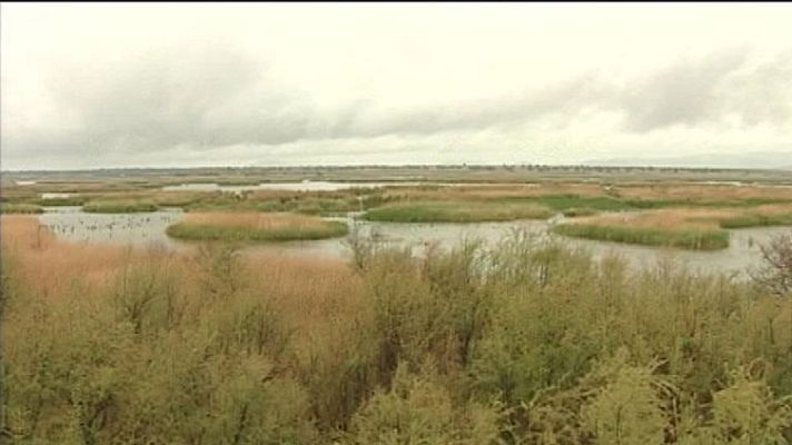 Telediario 1 - Las Tablas sobreexplotadas