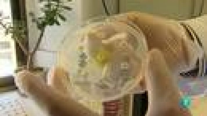 Para todos La 2 - Los antibióticos