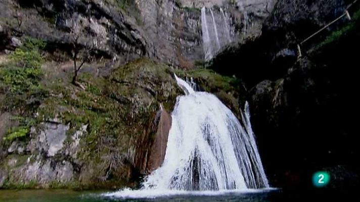 Biodiario - Biodiario - 07/05/12