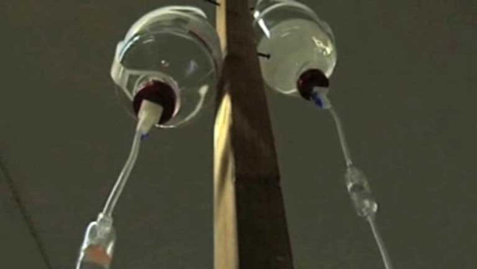 En un instituto chino se inyecta aminoácidos a sus alumnos para preparar mejor la Selectividad