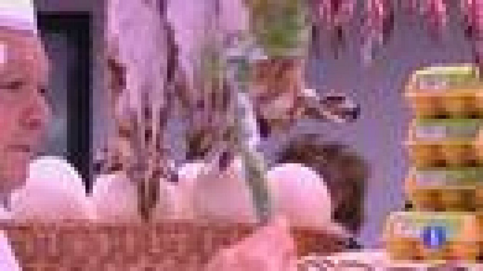 Cuidado con la carne de caza para embarazadas y niños