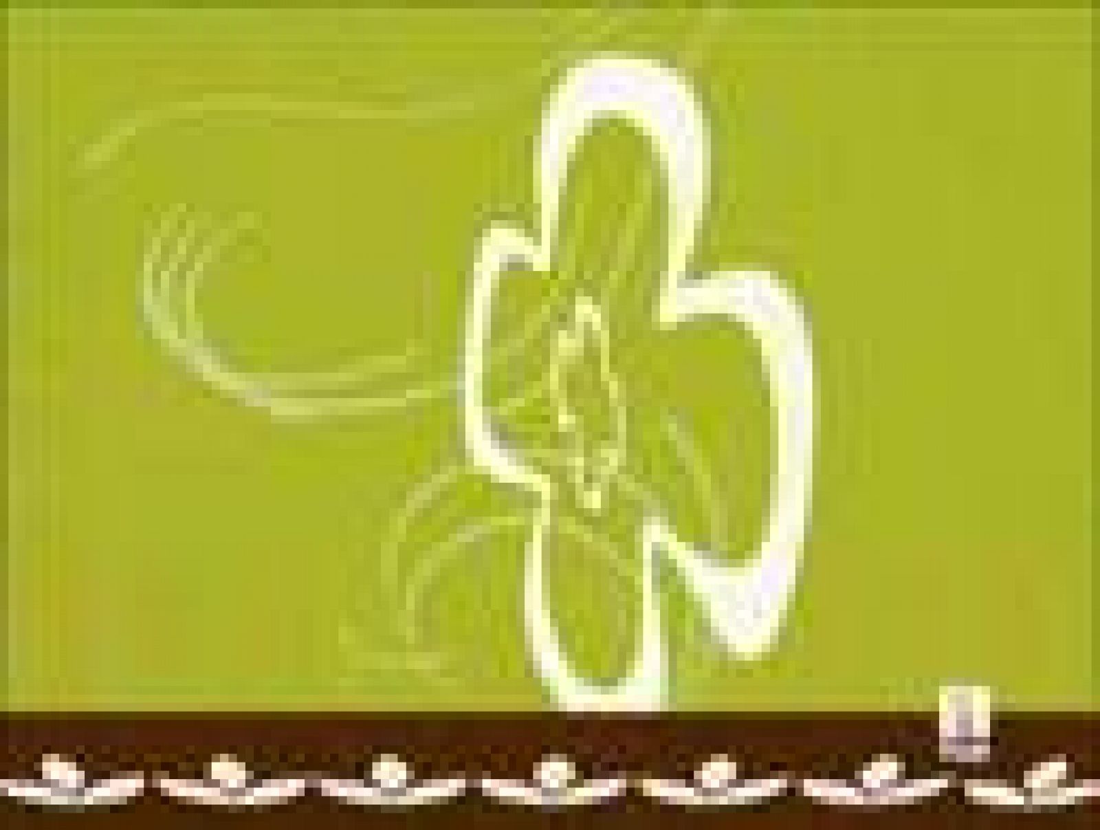 Corazón de primavera - 10/06/08 - D Corazón | Ver