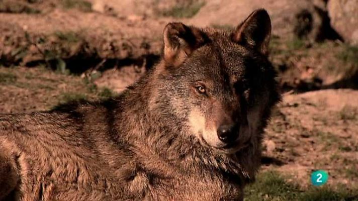 Biodiario - Biodiario - 09/05/12