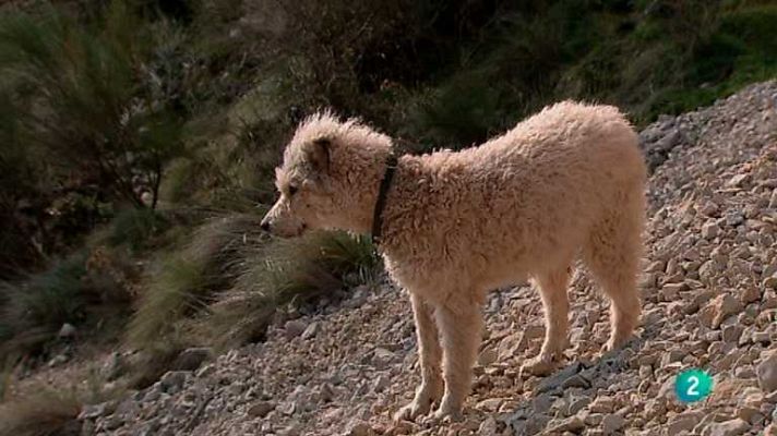 Biodiario - Biodiario - 11/05/12