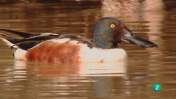 Biodiario - Biodiario - 14/05/12