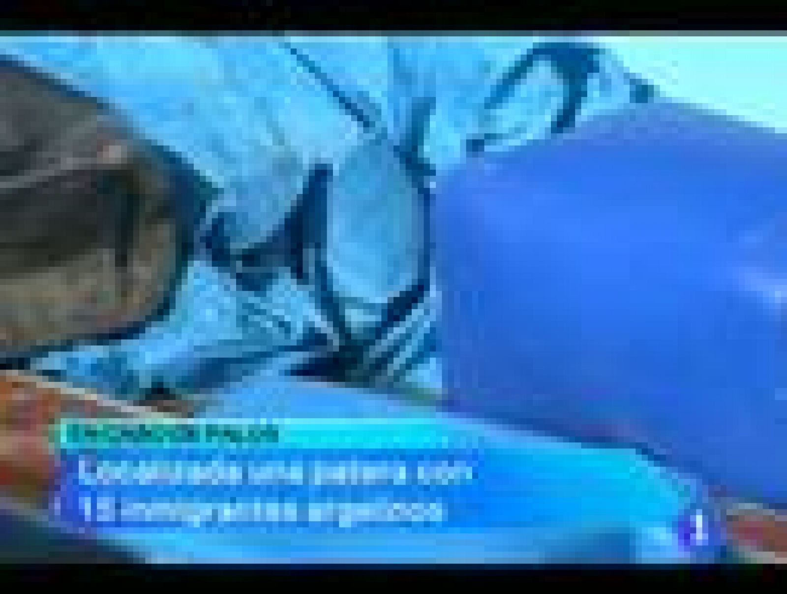 La Región de Murcia en 2'.(15/05/2012).