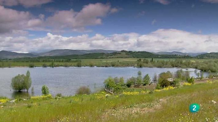 Biodiario - Biodiario - 17/05/12