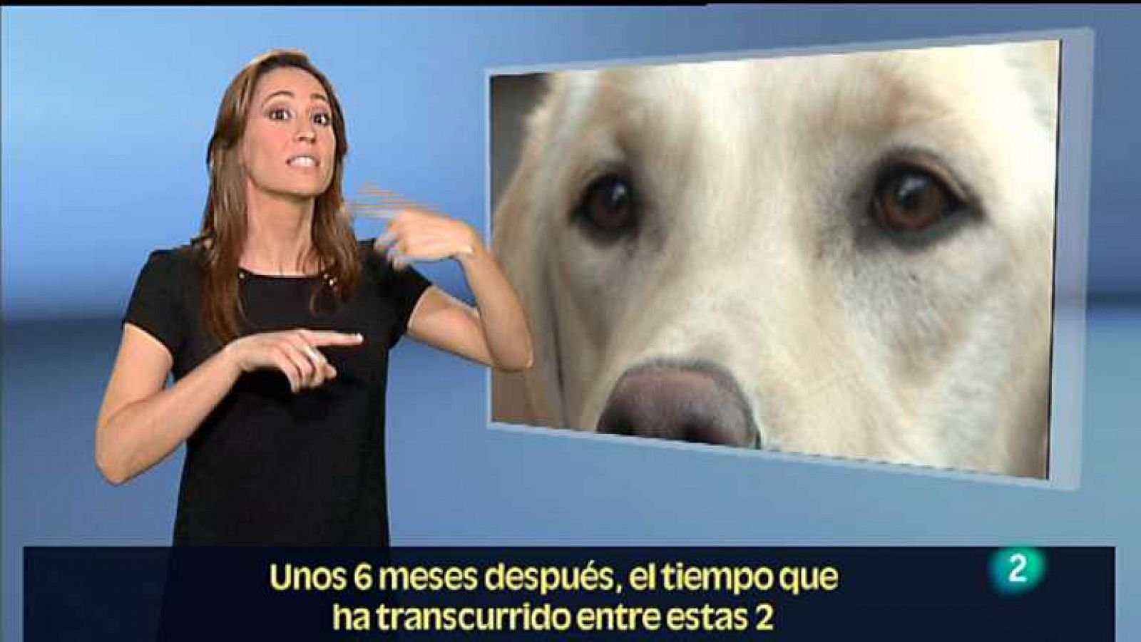 En lengua de signos - 19/05/12 - ver ahora