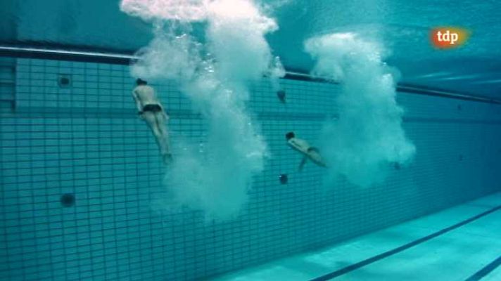 Natación - Natación - Campeonato de Europa