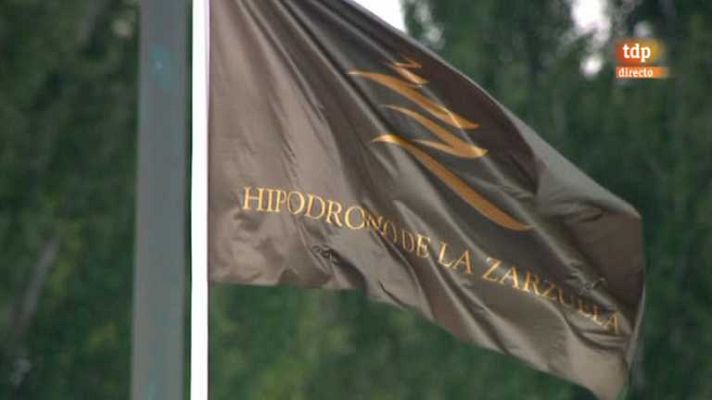 Turf - Turf - 20/05/12