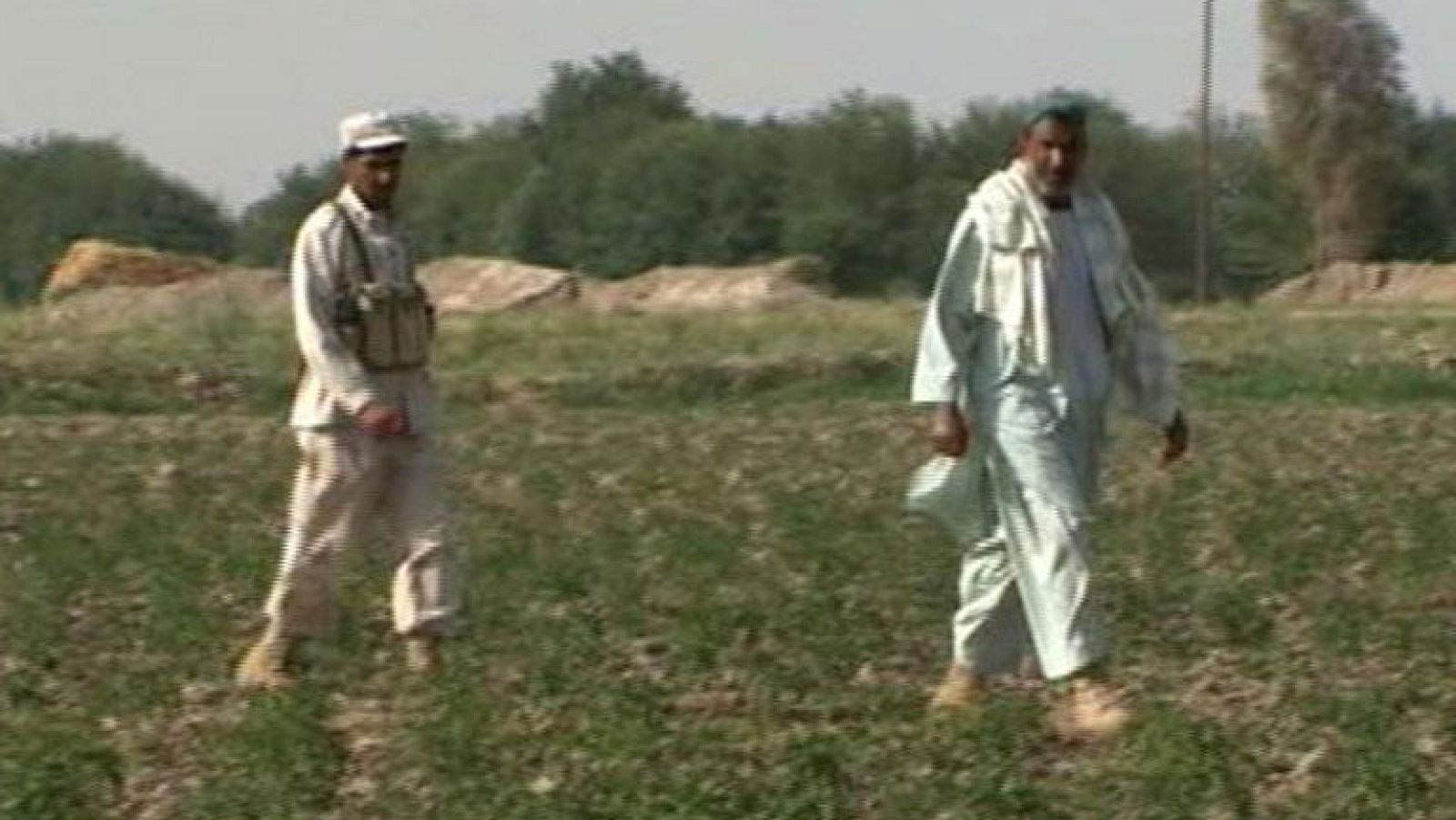 El 90% del opio que se consume en todo el mundo viene de Afganistán | Ver