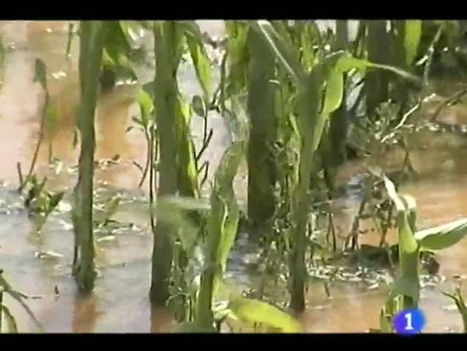 Noticias Aragón - 21/05/12 | Ver