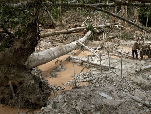 En portada - Desafío amazónico