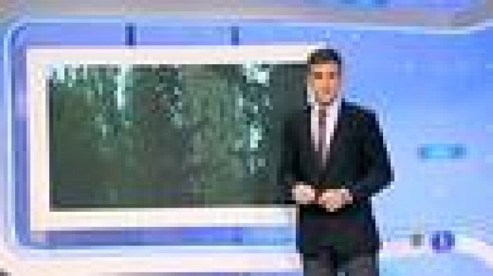 El tiempo - Cielos despejados