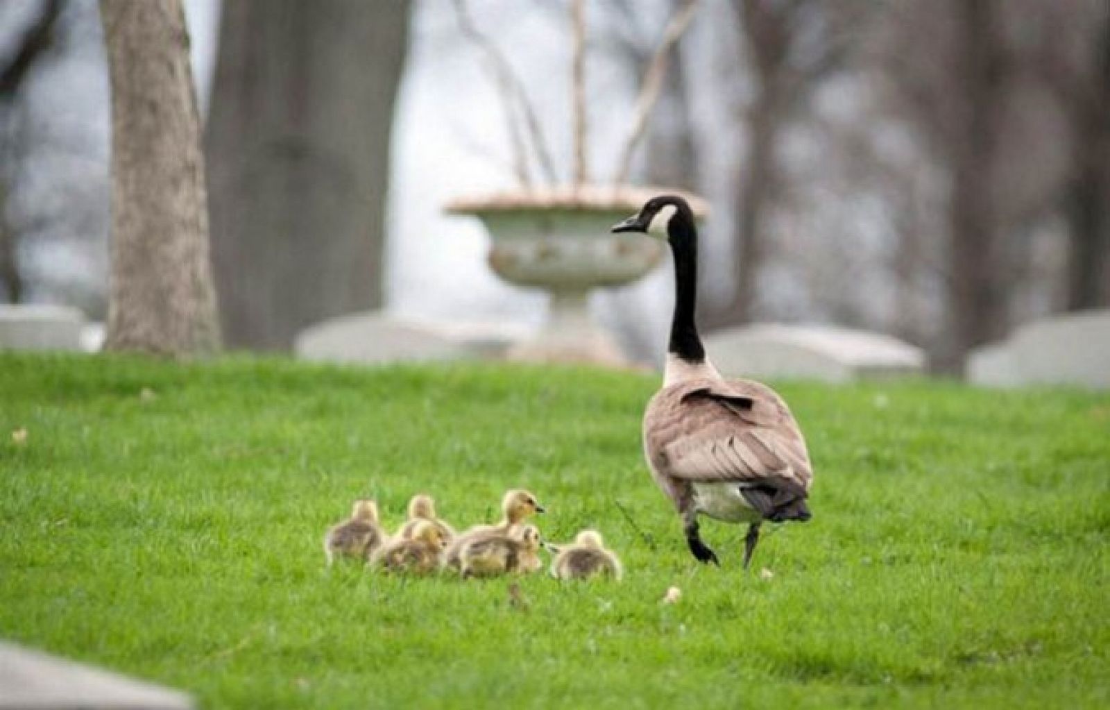 On Off: Un paseo accidentado - On Off | Ver