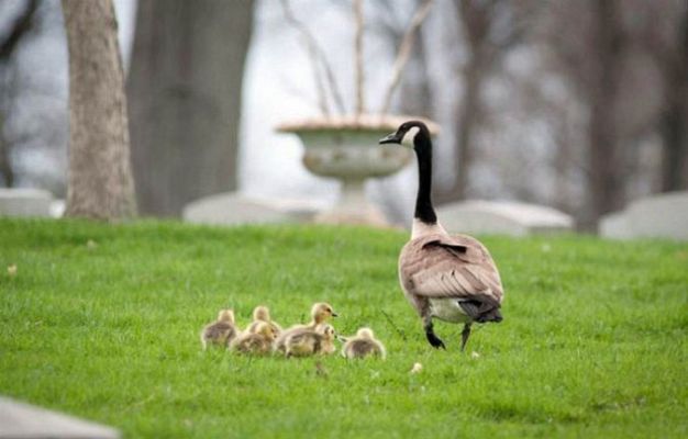 On Off - On Off: Un paseo accidentado