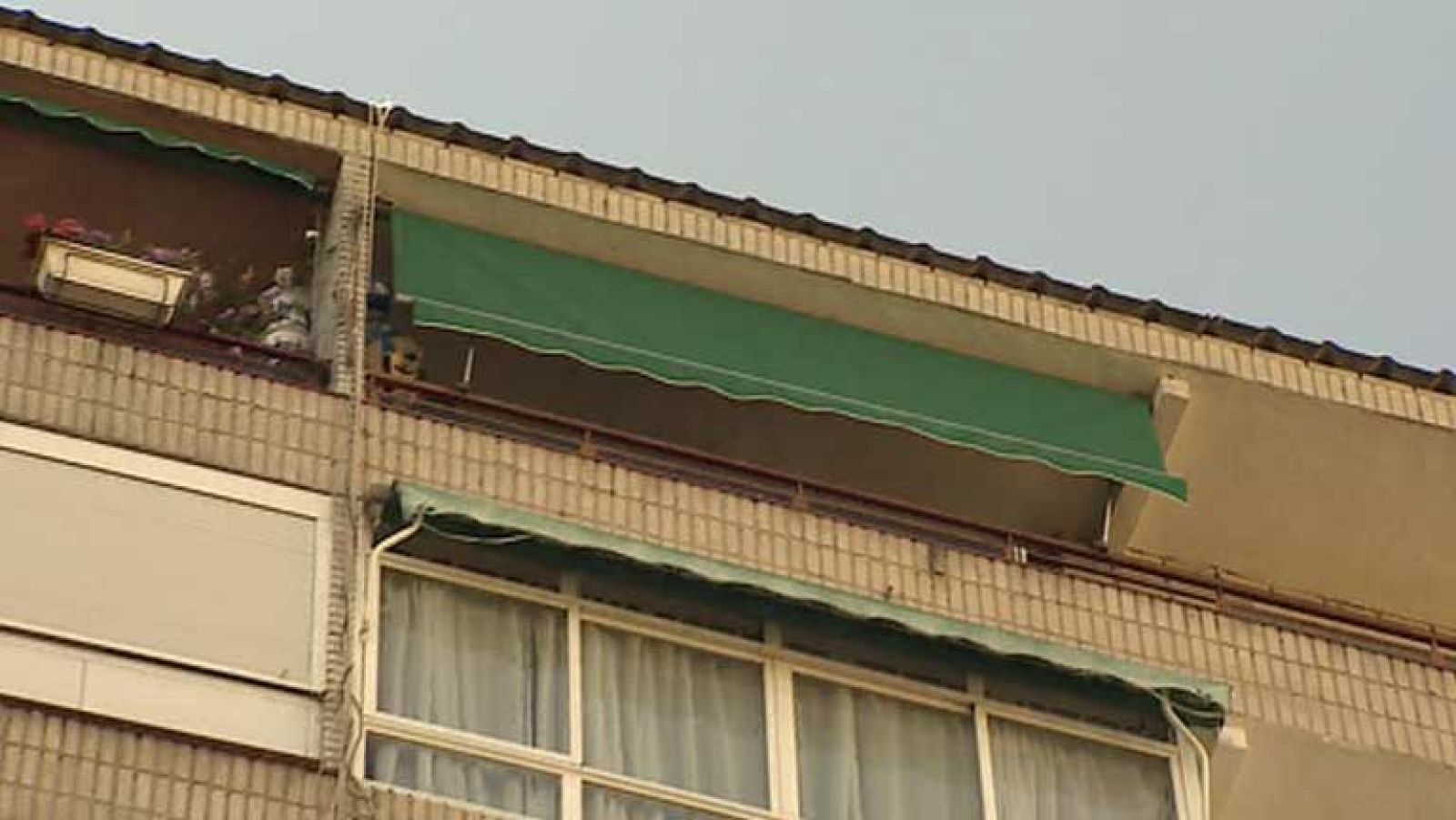 La rama de un árbol salva la vida de un niño al caer del piso 9