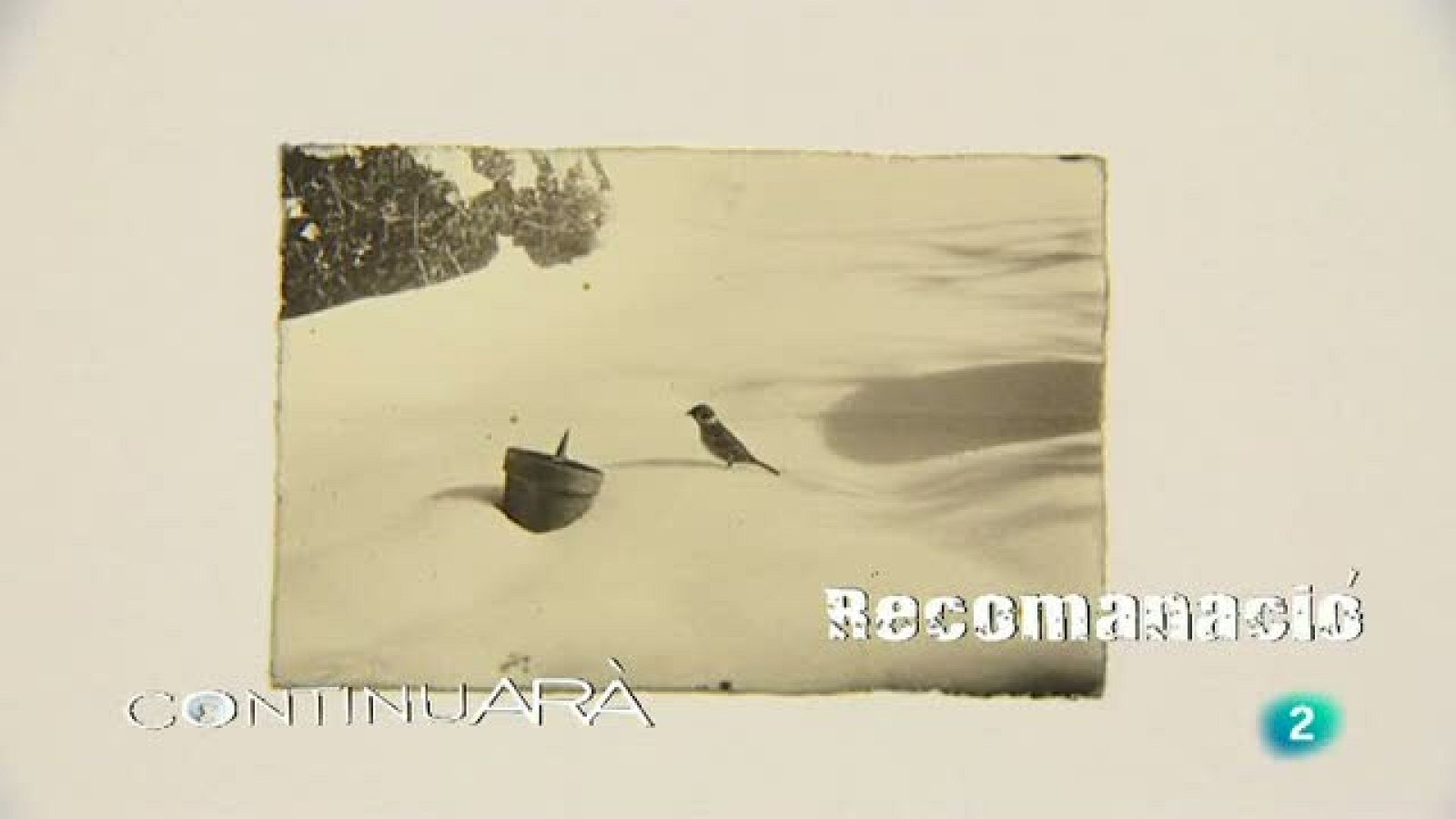 Continuarà - Masao Yamamoto