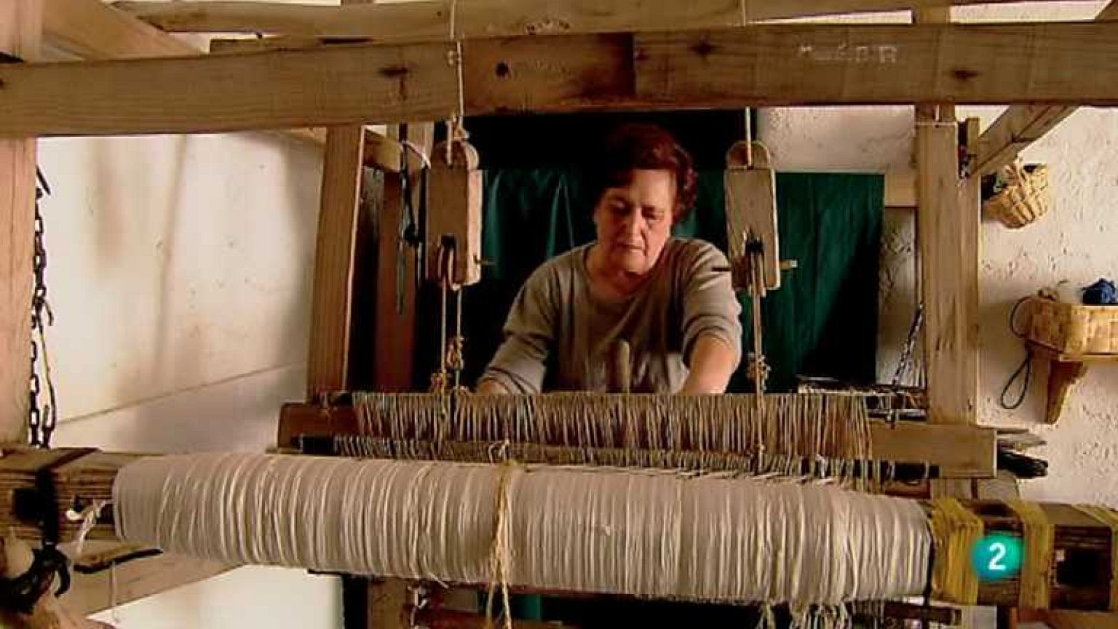 Biodiario - 23/05/12 - Ver ahora