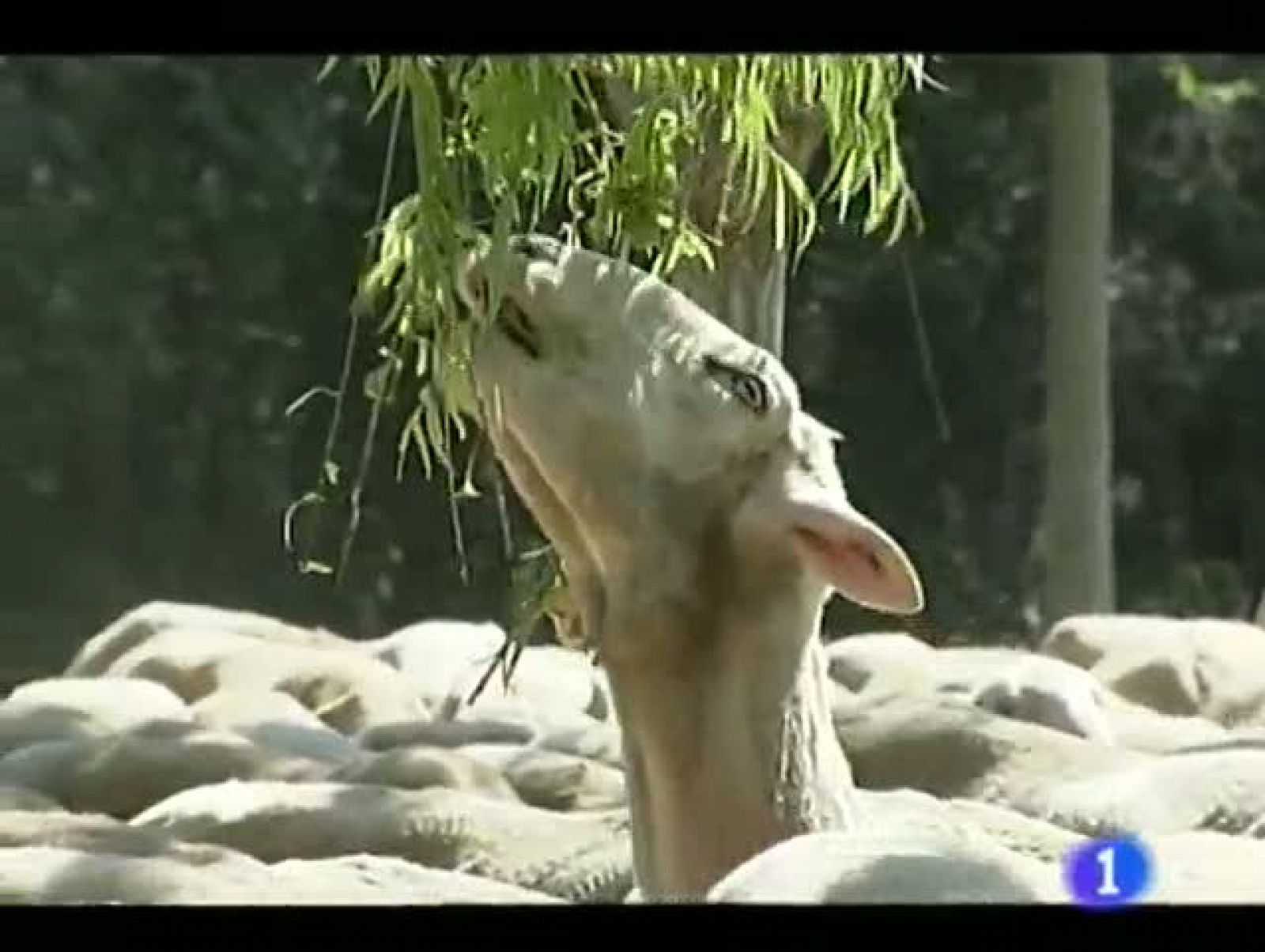 Noticias Aragón - 24/05/12 | Ver