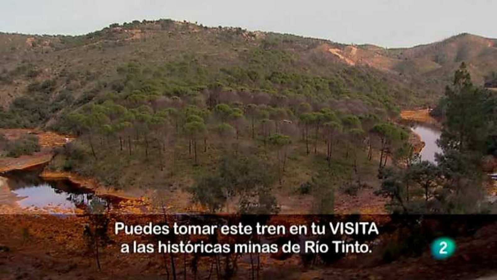 Biodiario - 24/05/12 - Ver ahora