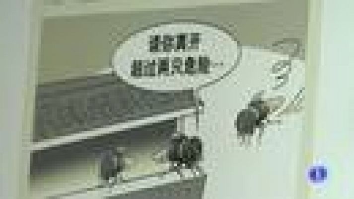 Telediario 1 - Pekín prohíbe más de dos moscas por baño público