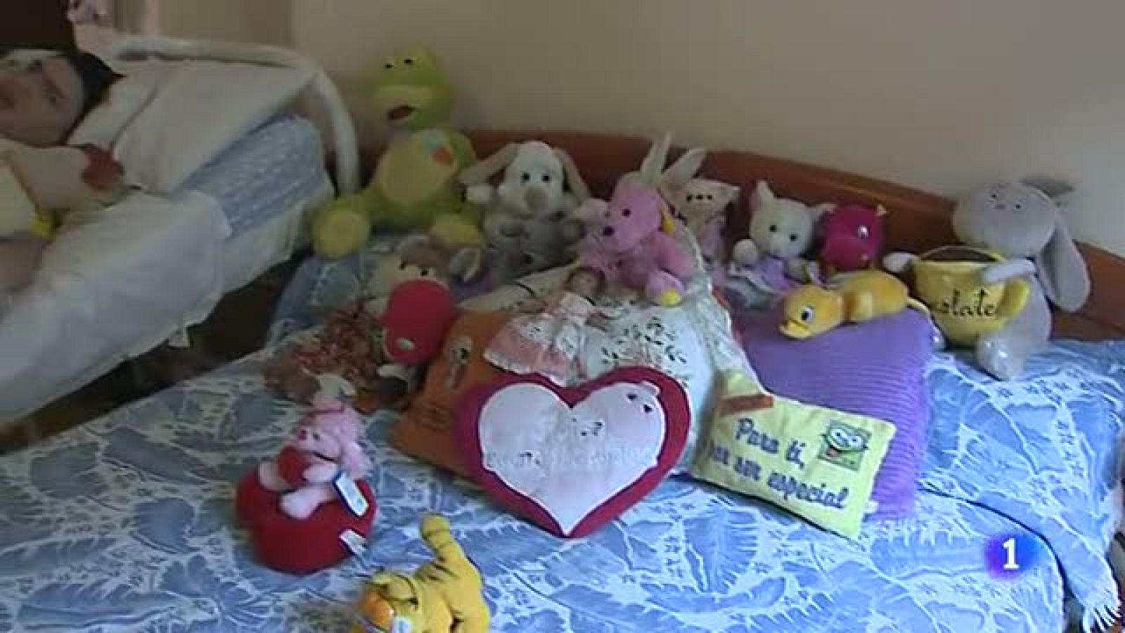 Plan de repatriación para los ecuatorianos discapacitados y sus familias | Ver