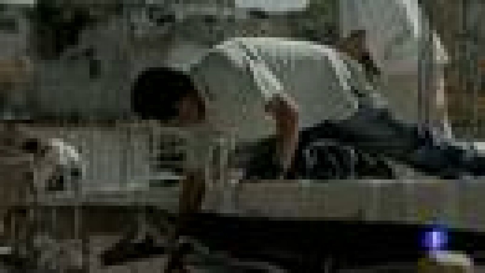 Todo listo para la Palma de oro