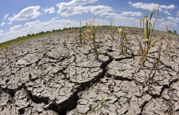 Preocupados por el medio ambiente