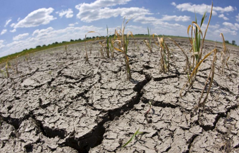 El cuidado del medio ambiente preocupa a los españoles