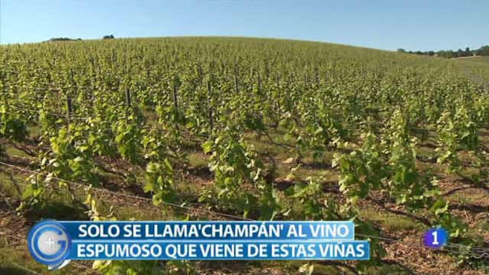 +Gente: Viajamos a Champagne | RTVE Play