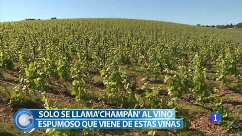 Más Gente - Más Cocina - Viajamos a las viñas de las que sale el champán