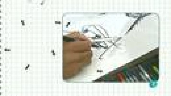 La aventura del Saber - Camuflaje animal