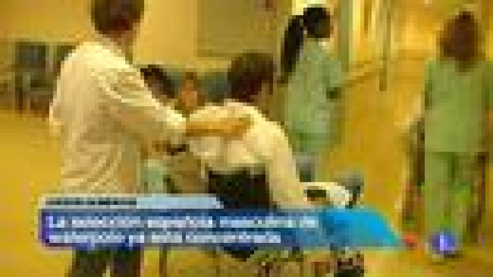 La selección masculina de waterpolo ya está concentrada | Ver