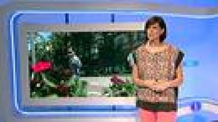 El tiempo - Nubes en el este peninsular