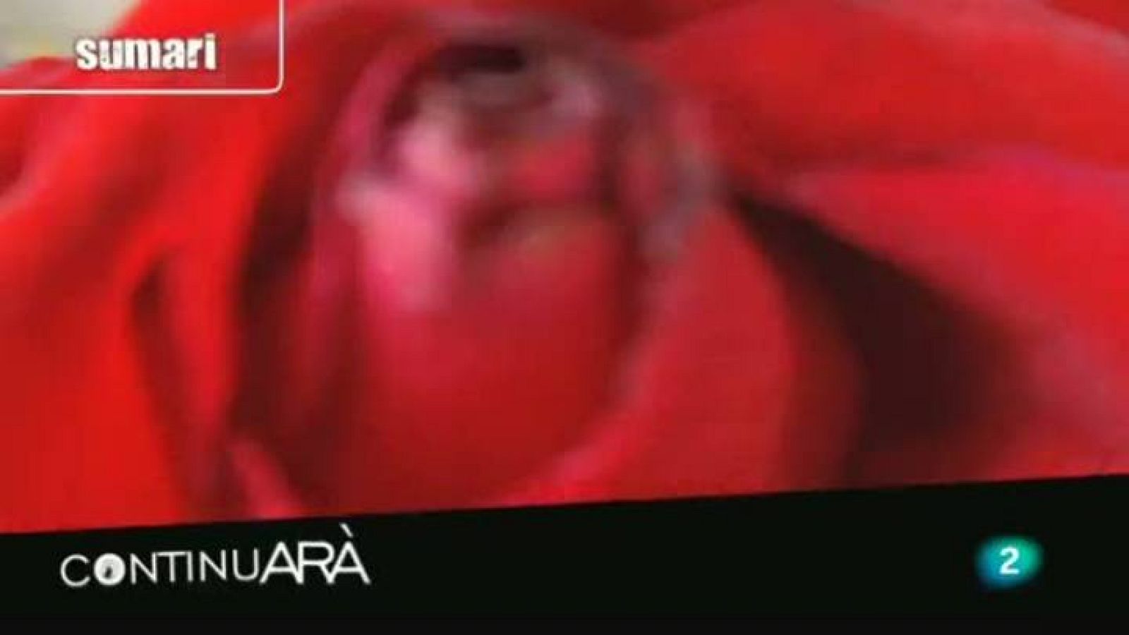 Continuarà - 29/05/2012