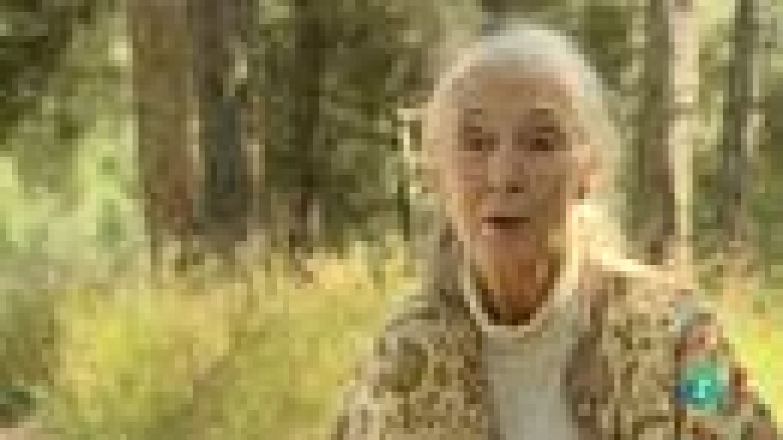 Para todos La 2:  La primatóloga: Jane Goodall | RTVE Play