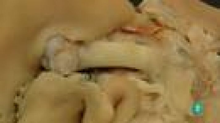 Para todos La 2 - ¿són buenos los pies de cerdo?