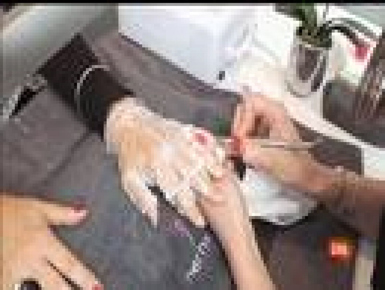 Manicura brasileña en Zoom tendencias