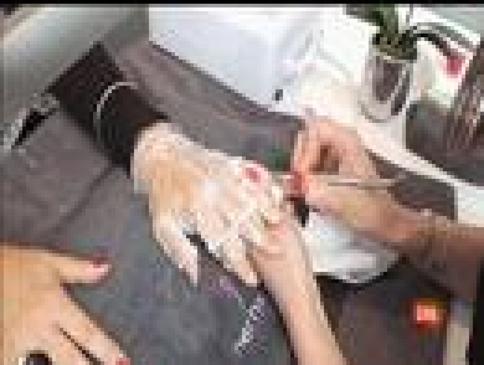  Manicura brasileña en Zoom tendencias