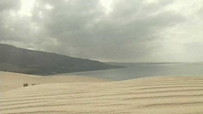 Telediario 1 - Una playa de Tarifa, en peligro