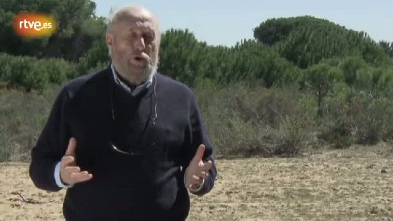 ¿Sale cara la conservación del lince en Doñana? - Crónicas | Ver