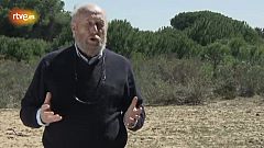 ¿Sale cara la conservación del lince en Doñana?