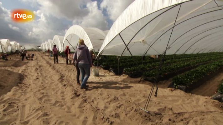 Doñana y el uso compartido del agua