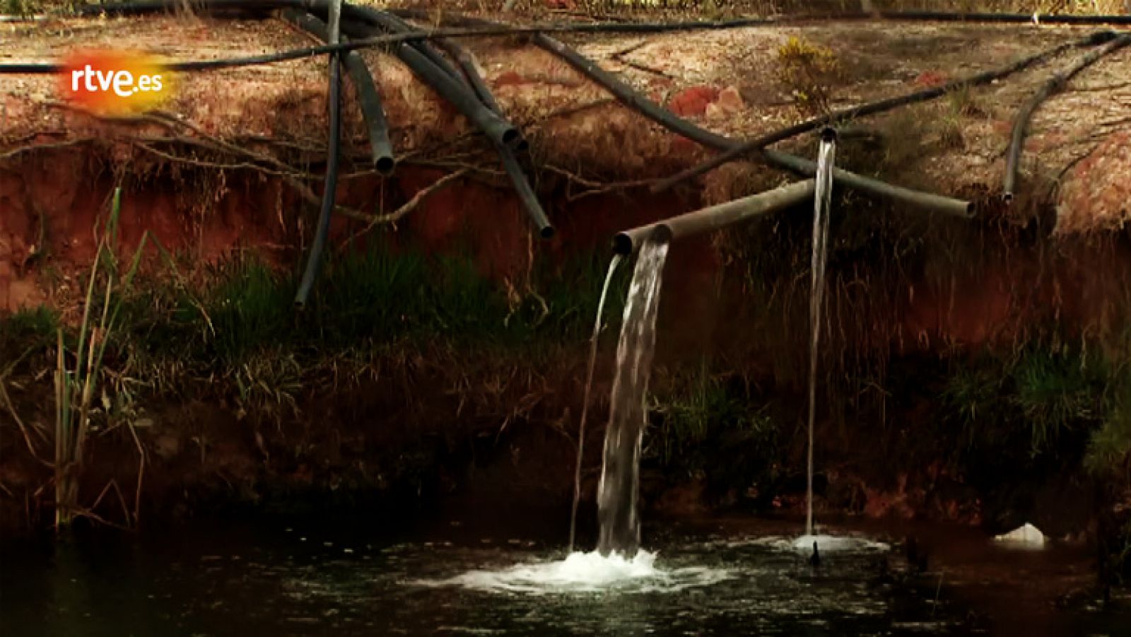 Robo de agua en Doñana